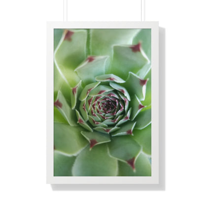 Pale Green Spiky Succulent Framed Print – Minimalist Botanical Wall Art for Desert-Inspired Interiors