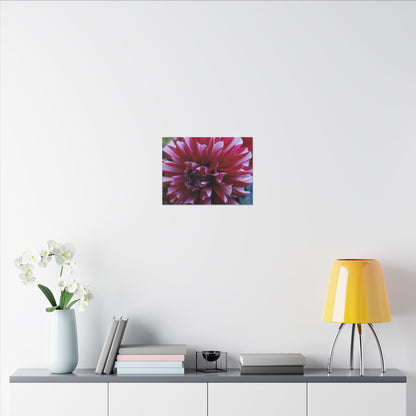 Red and White Dahlia Canvas Print – Bright Floral Nature Photography Wall Art