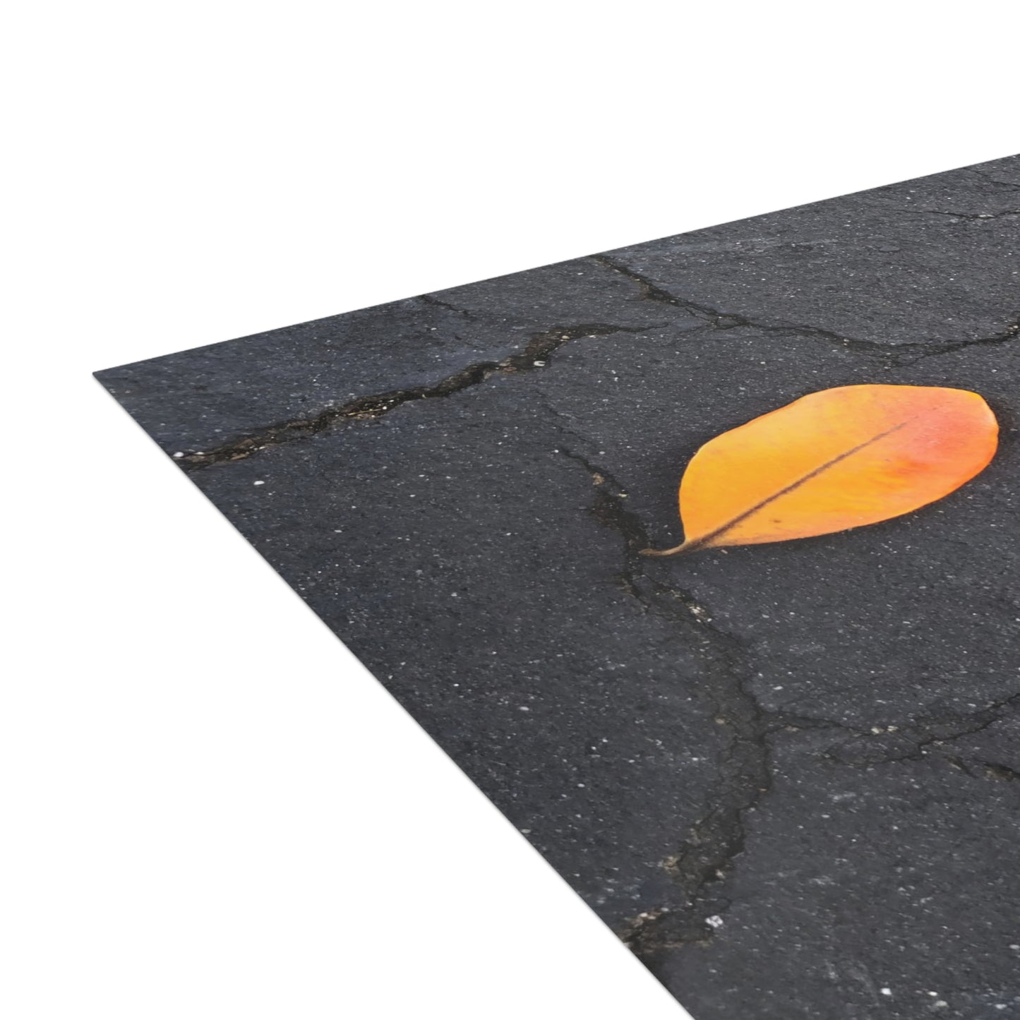 Orange Leaf on Black Concrete Inspirational Postcard – Minimalist Autumn Decor for Modern Homes