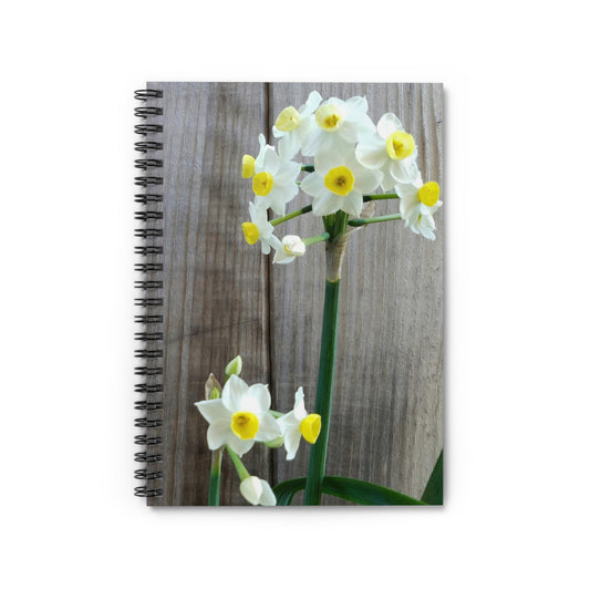 Daffodils by the Fence Notebook – Rustic Spring Floral Journal for Botanical and Cottagecore Stationery Lovers