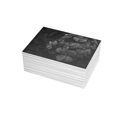 Geranium After a Light Rain Postcard – Moody Botanical Photography, Monochrome Floral Stationery for Thoughtful Correspondence