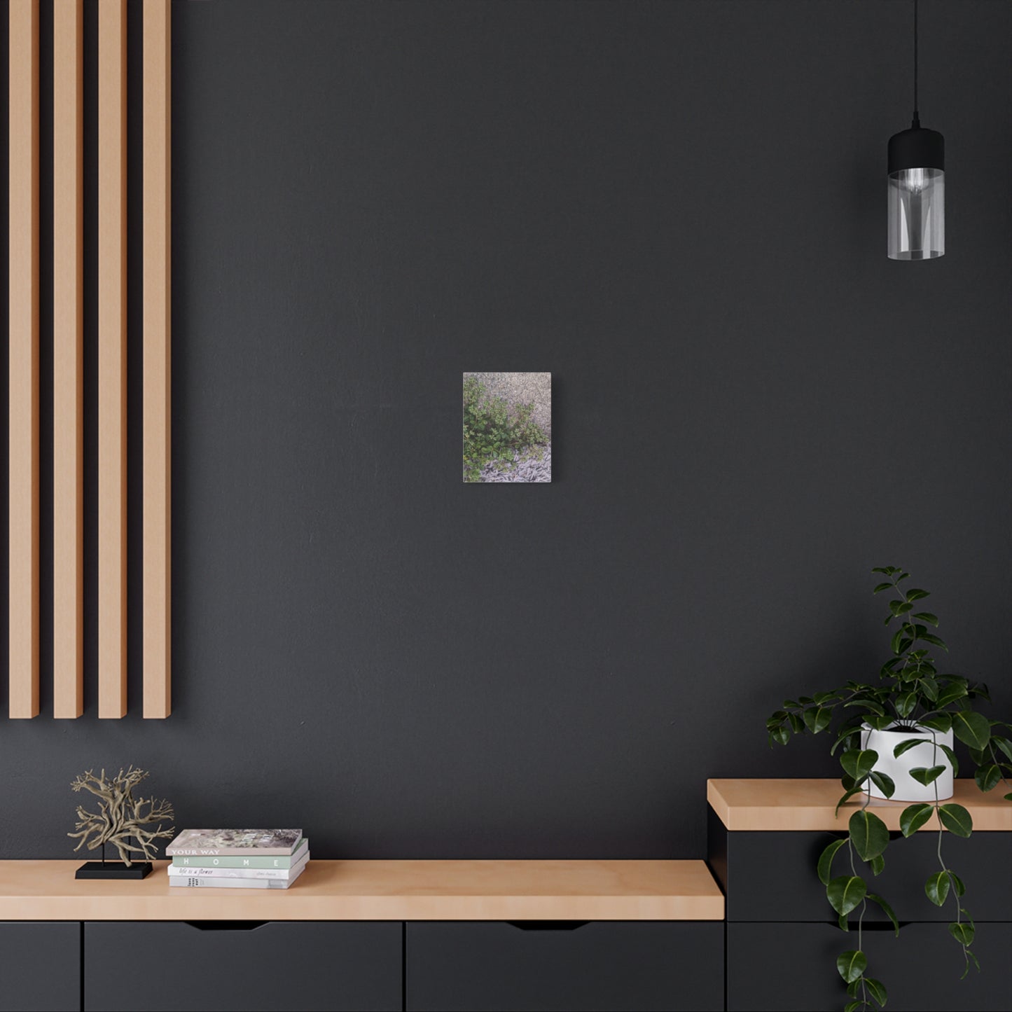Where the Allseed Grows Canvas Print – Urban Nature Minimalist Botanical Wall Art with Concrete Texture
