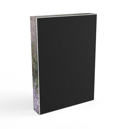 Where the Allseed Grows Acrylic Block – Urban Nature Minimalist Botanical Desk Art with Concrete Texture