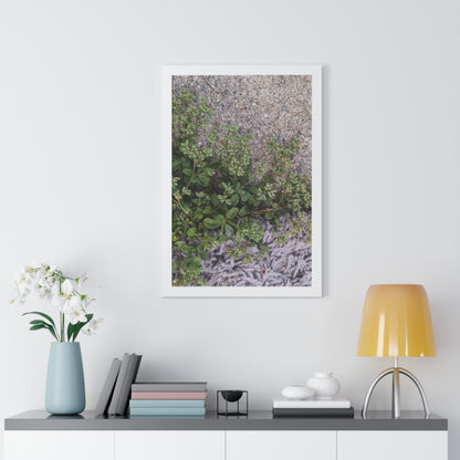 Where the Allseed Grows Framed Print – Urban Nature Minimalist Botanical Wall Art with Concrete Texture