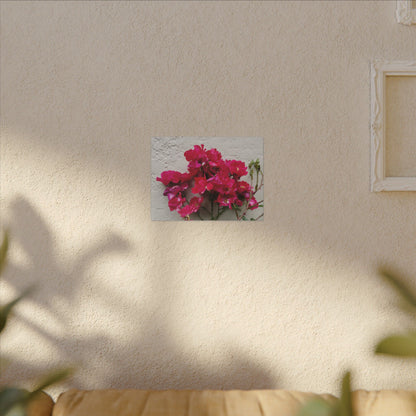 Feminine aesthetic bougainvillea art on canvas print