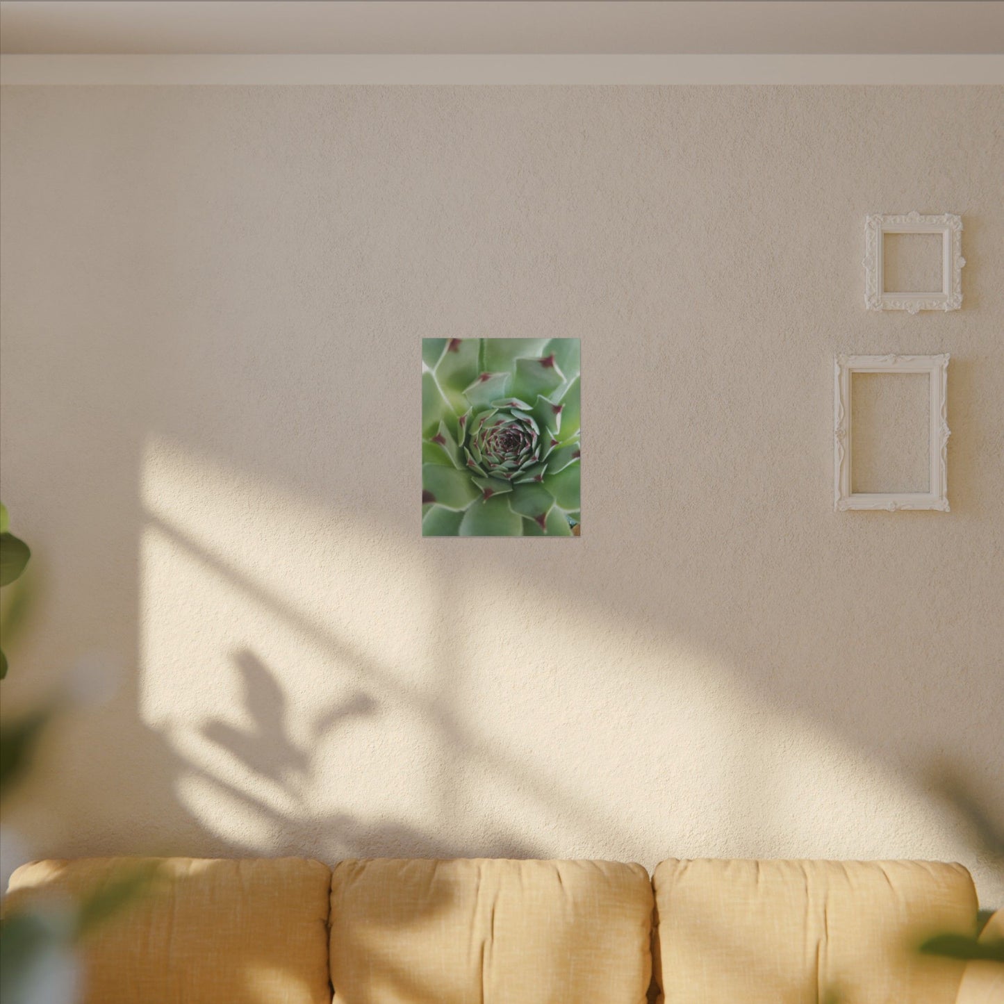 succulent photography canvas wall hanging