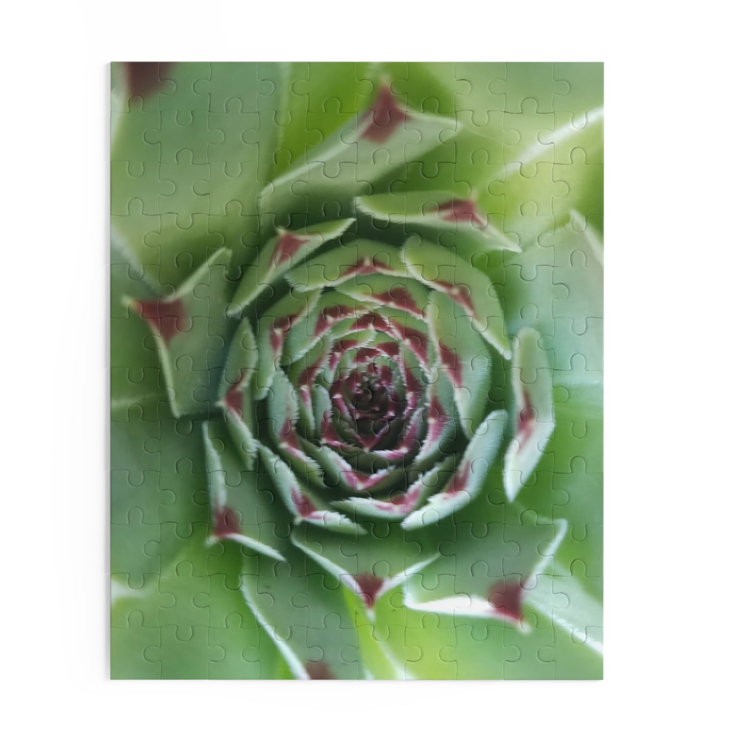 Pale Green Spiky Succulent Puzzle – Minimalist Botanical Jigsaw for Relaxing Desert-Inspired Fun