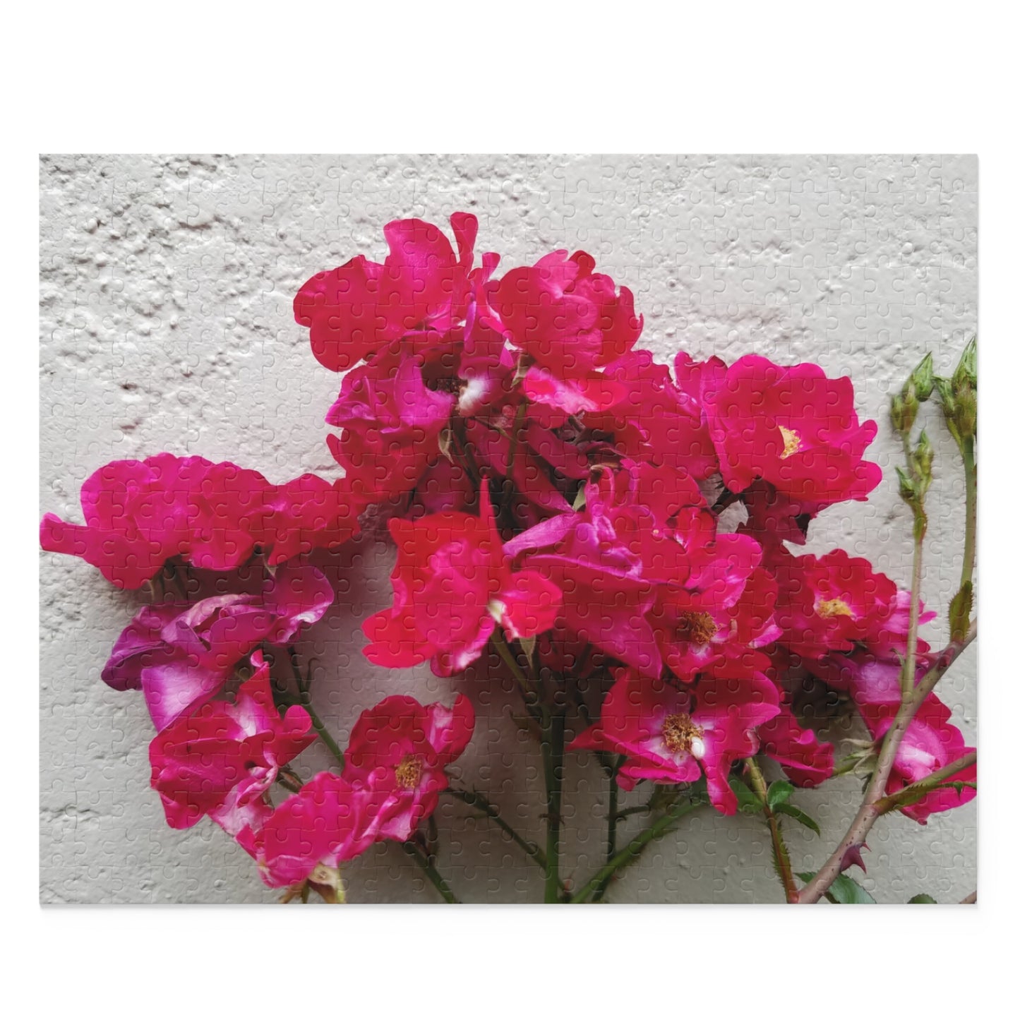 Bougainvillea Against White Stucco Wall Puzzle – Mediterranean Floral Jigsaw, Cottagecore Botanical Art Puzzle