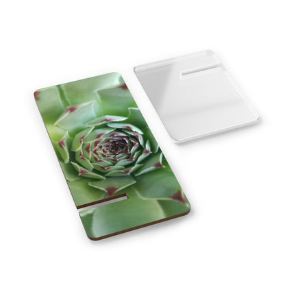 Pale Green Succulent Phone Stand – Modern Botanical Photography Phone Accessory