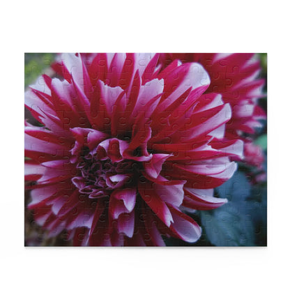 Red and White Dahlia Puzzle – Botanical Floral Jigsaw for Adults, Cottagecore Garden-Inspired Game Night Gift