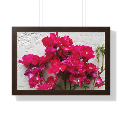 Bougainvillea Against White Stucco Wall Framed Print – Mediterranean Floral Wall Art, Summer Bloom Botanical Decor