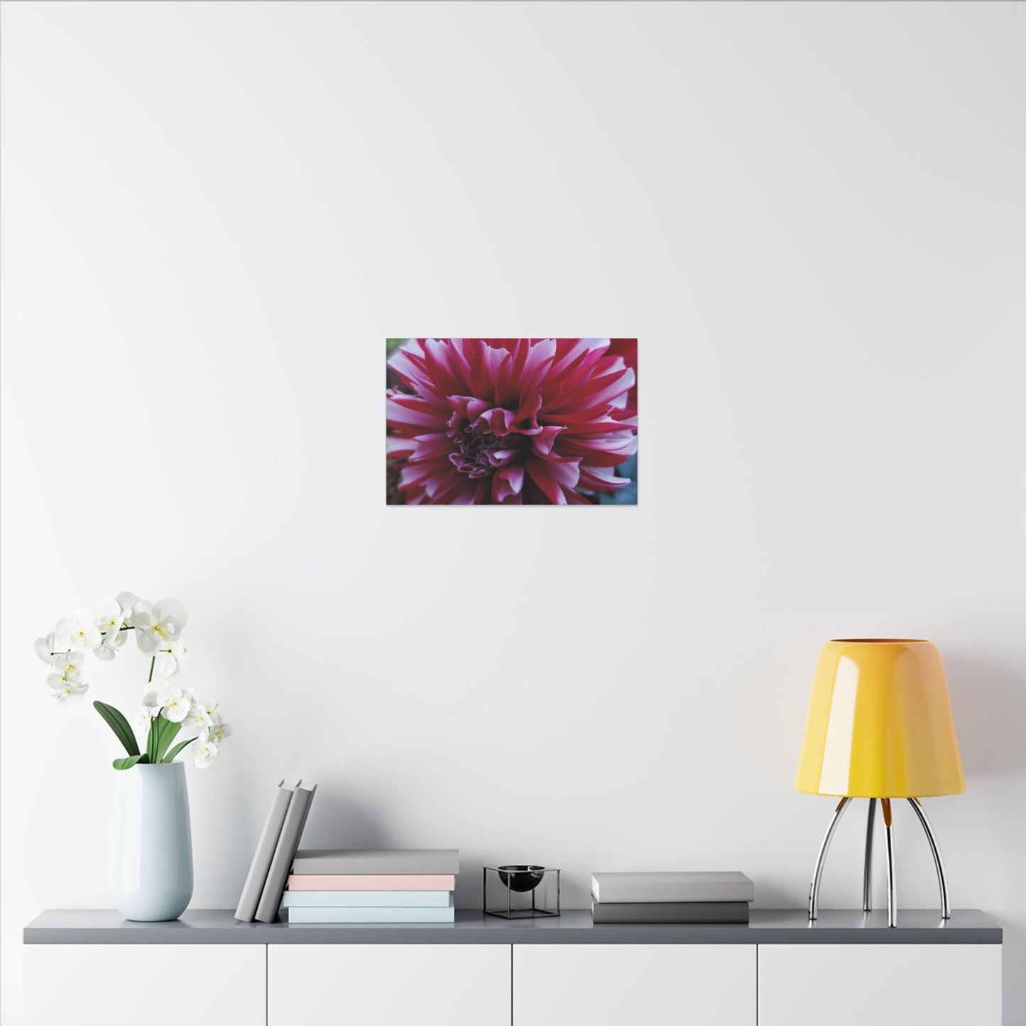 Red and White Dahlia Canvas Print – Bright Floral Nature Photography Wall Art
