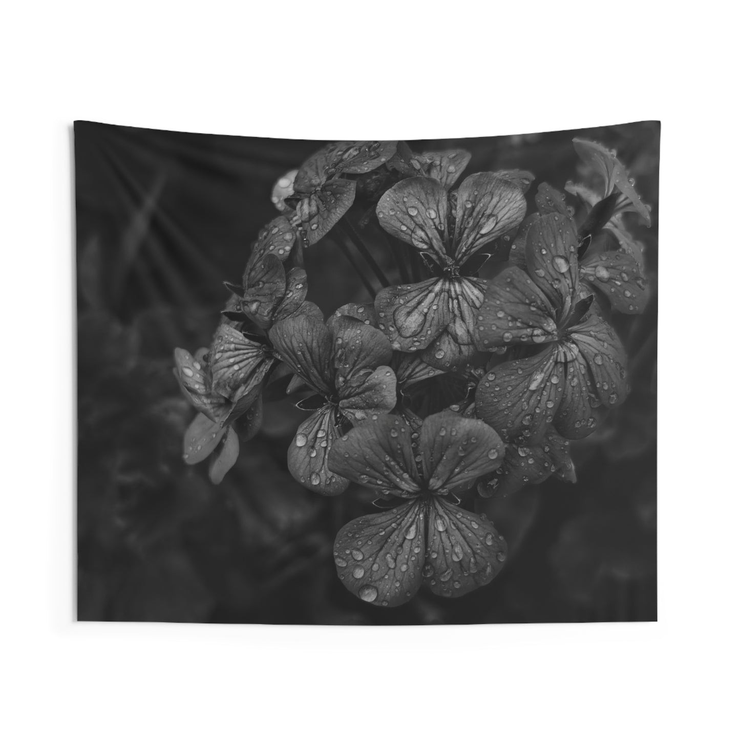 Geranium After a Light Rain Wall Tapestry – Modern Botanical Floral Black and White Photography Home Decor