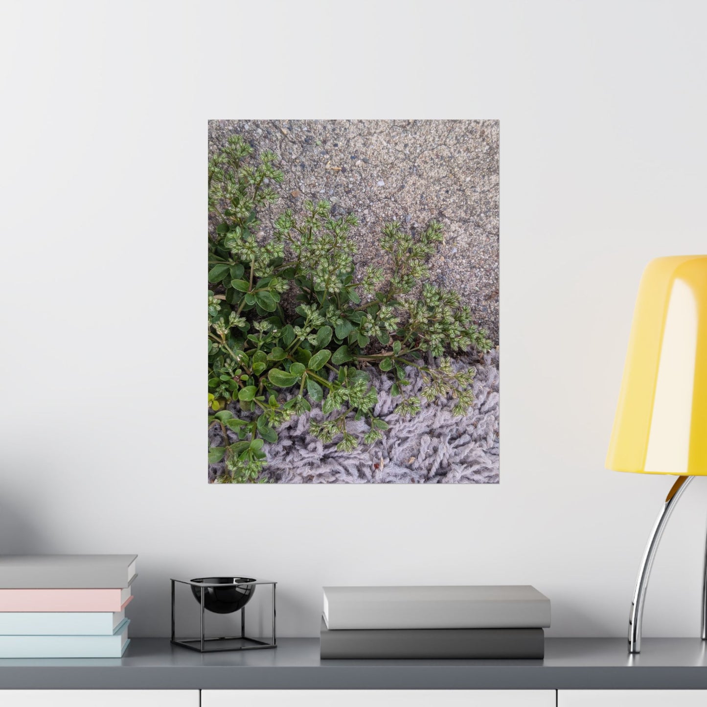 Where the Allseed Grows Poster – Urban Nature Minimalist Wall Art with Concrete Texture and Botanical Contrast