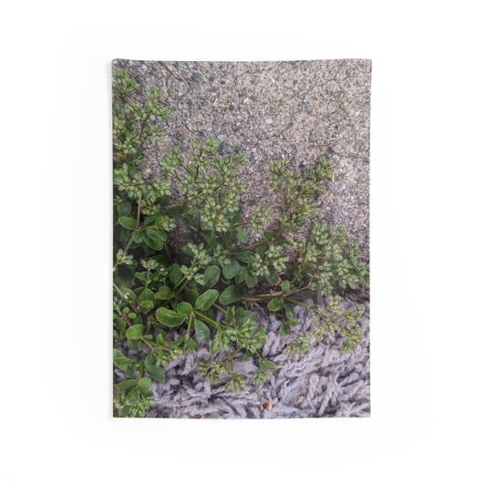 Where the Allseed Grows Wall Tapestry – Urban Nature Minimalist Decor with Concrete Texture and Botanical Contrast