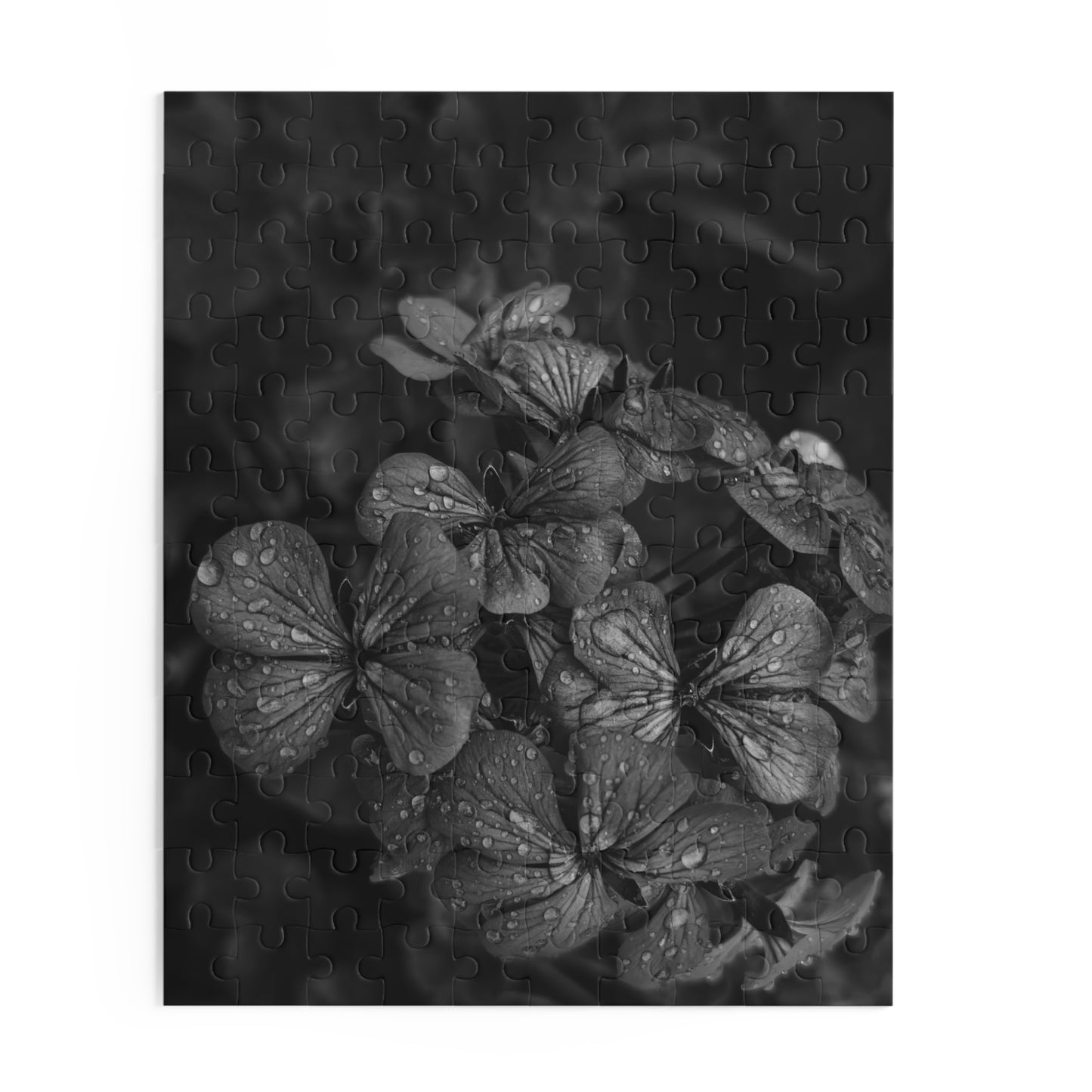 Geranium After a Light Rain Puzzle – Black and White Floral Photography Jigsaw Puzzle for Adults and Teens, Modern Botanical Gift Idea