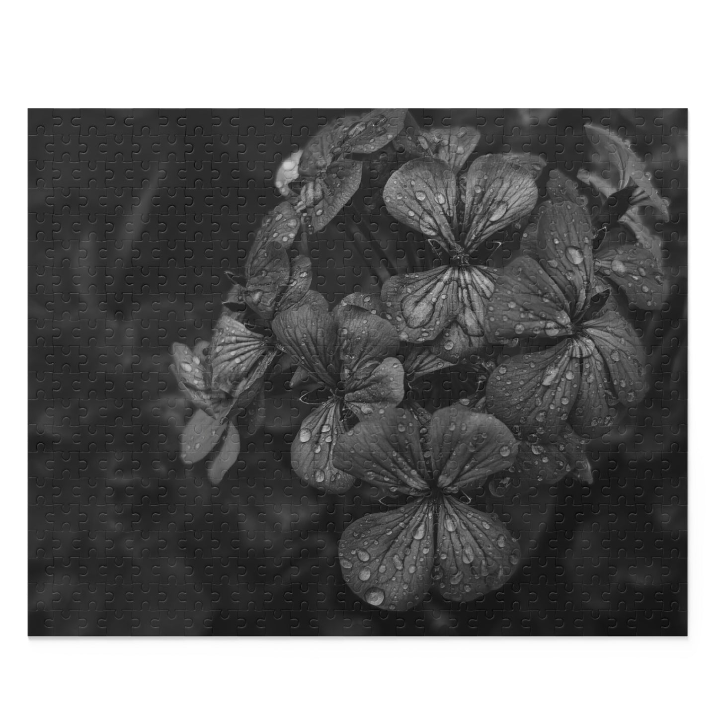 Geranium After a Light Rain Puzzle – Black and White Floral Photography Jigsaw Puzzle for Adults and Teens, Modern Botanical Gift Idea