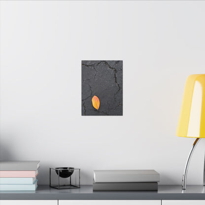 Orange Leaf Against Black Concrete Minimalistic Canvas Print – Contemporary Nature Photography Wall Art