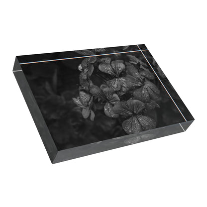 Geranium After a Light Rain Acrylic Block – Modern Moody Black and White Floral Botanical Home Decor Accent