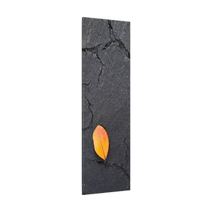 Orange Leaf Against Black Concrete Minimalistic Canvas Print – Contemporary Nature Photography Wall Art