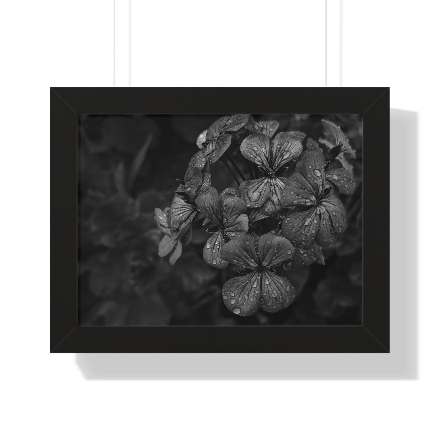 Geranium After a Light Rain Framed Print – Moody Botanical Floral Art, Monochrome Nature-Inspired Wall Decor