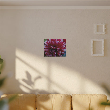 Red and White Dahlia Canvas Print – Bright Floral Nature Photography Wall Art
