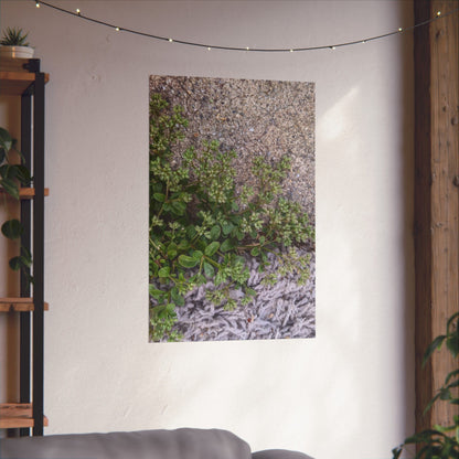 Where the Allseed Grows Poster – Urban Nature Minimalist Wall Art with Concrete Texture and Botanical Contrast