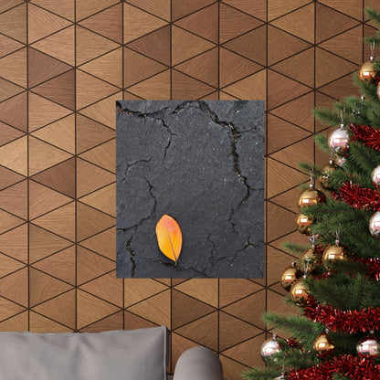 Orange Leaf Against Black Concrete Poster – Minimalist Nature Photography Wall Art
