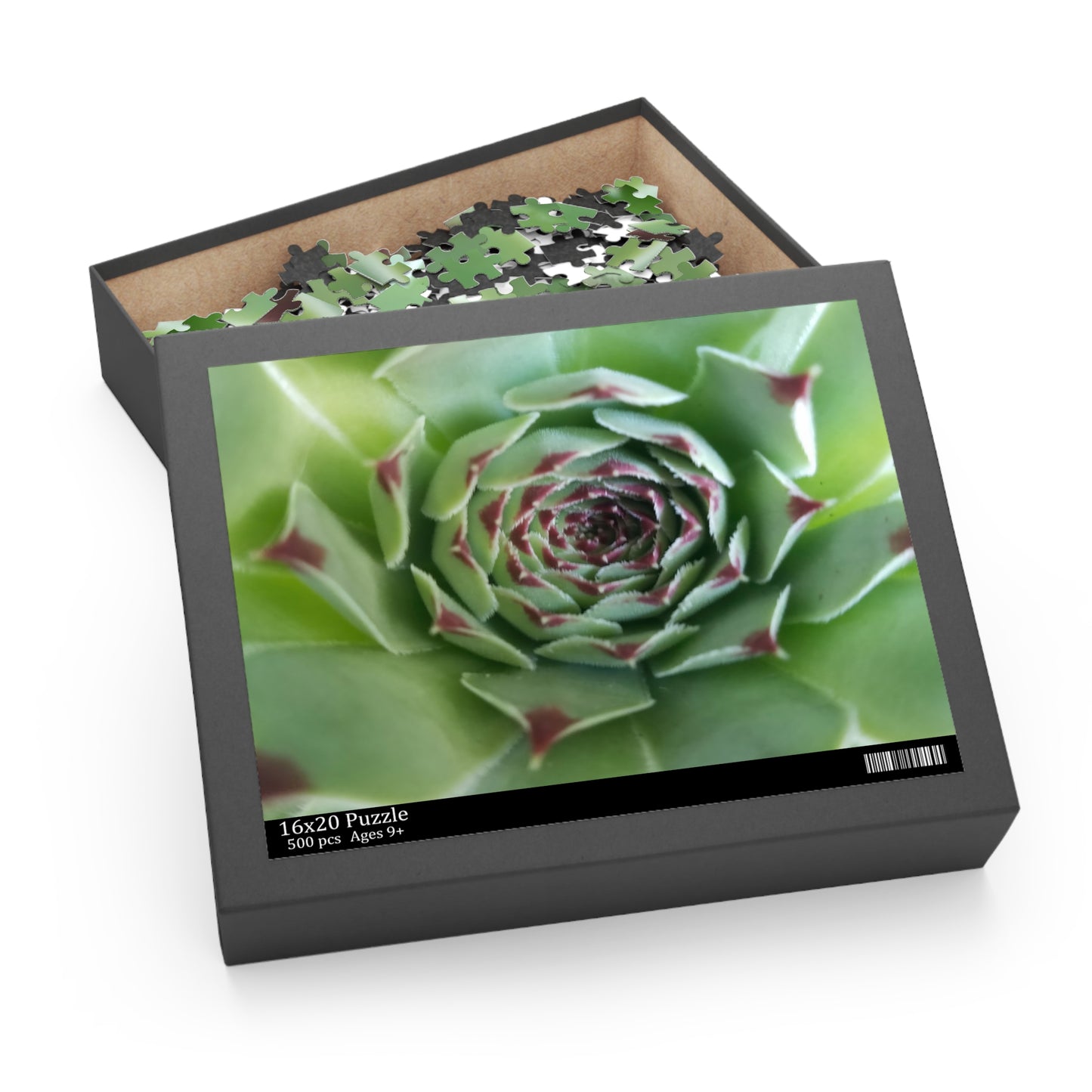 Pale Green Spiky Succulent Puzzle – Minimalist Botanical Jigsaw for Relaxing Desert-Inspired Fun