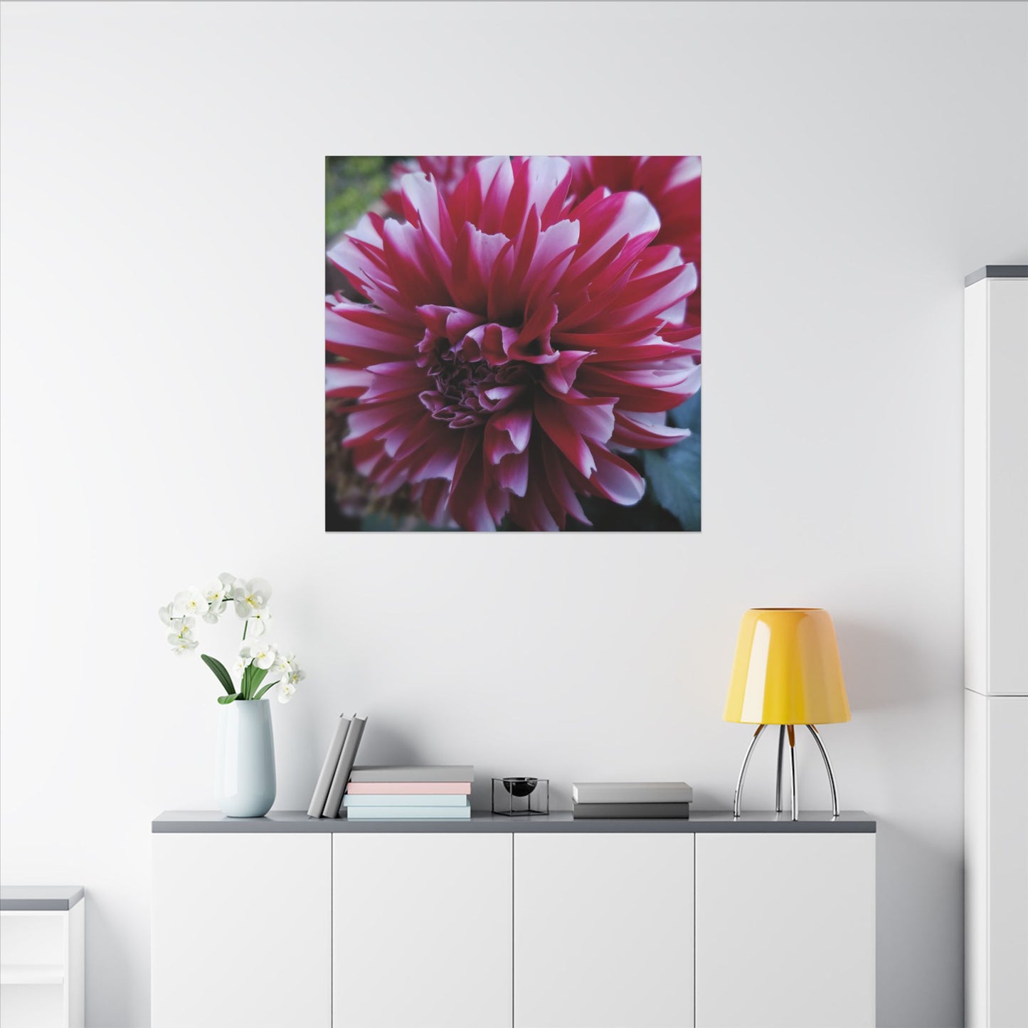 Red and White Dahlia Canvas Print – Bright Floral Nature Photography Wall Art