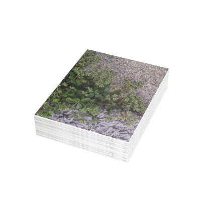 Where the Allseed Grows Postcard – Urban Nature Minimalist Botanical Stationery with Concrete Texture