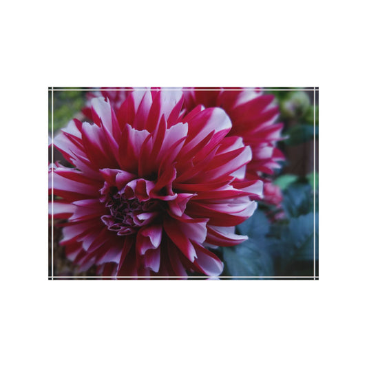 Red and White Dahlia Acrylic Block – Botanical Floral Art Decor, Cottagecore Nature-Inspired Gift