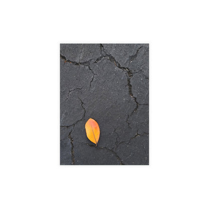 Orange Leaf on Black Concrete Inspirational Postcard – Minimalist Autumn Decor for Modern Homes