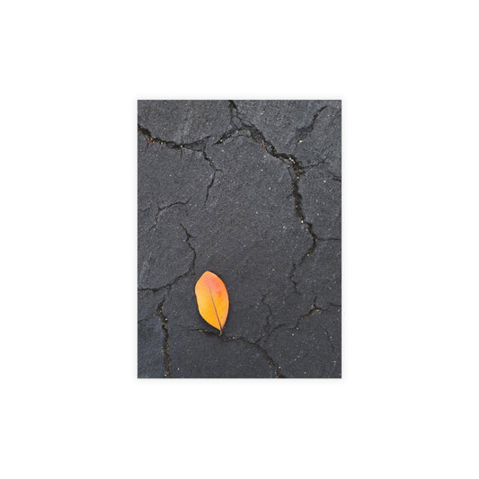 Orange Leaf on Black Concrete Inspirational Postcard – Minimalist Autumn Decor for Modern Homes