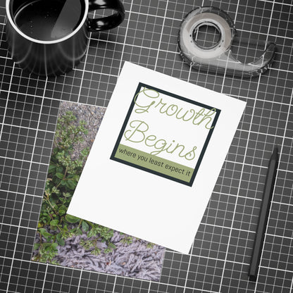 Where the Allseed Grows Postcard – Urban Nature Minimalist Botanical Stationery with Concrete Texture