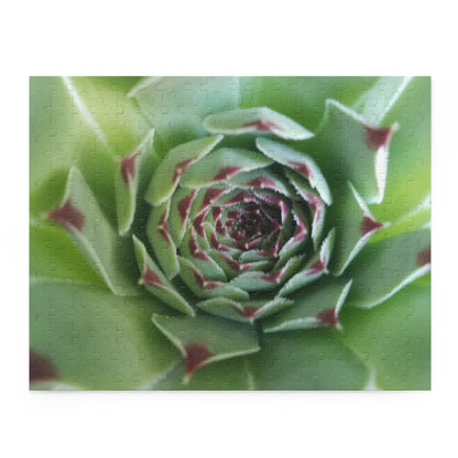 Pale Green Spiky Succulent Puzzle – Minimalist Botanical Jigsaw for Relaxing Desert-Inspired Fun