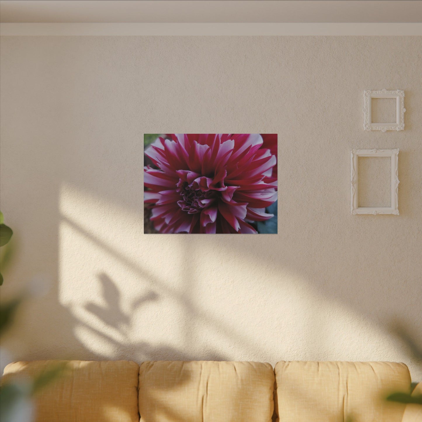 Red and White Dahlia Canvas Print – Bright Floral Nature Photography Wall Art
