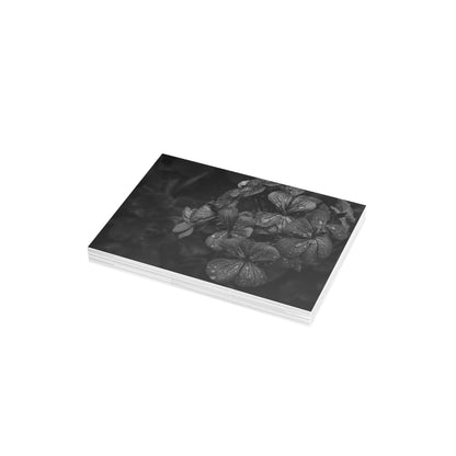 Geranium After a Light Rain Postcard – Moody Botanical Photography, Monochrome Floral Stationery for Thoughtful Correspondence