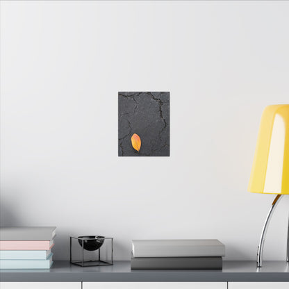 Orange Leaf Against Black Concrete Minimalistic Canvas Print – Contemporary Nature Photography Wall Art