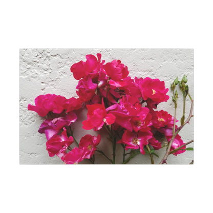 Mediterranean minimalist wall decor with bougainvillea blooms