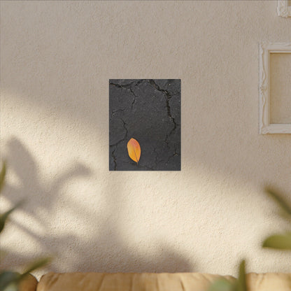 Orange Leaf Against Black Concrete Minimalistic Canvas Print – Contemporary Nature Photography Wall Art