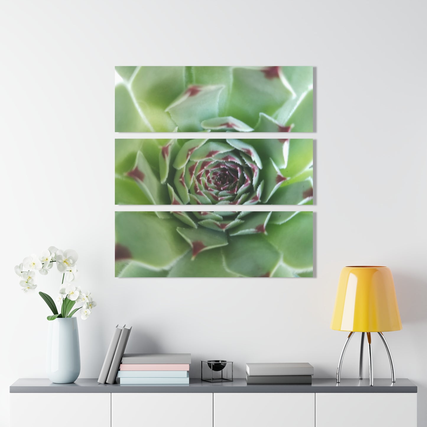 Pale Green Spikey Succulent Triptych Acrylic – Succulent with Green Red Tips Macro Photography Wall Art for Living Room