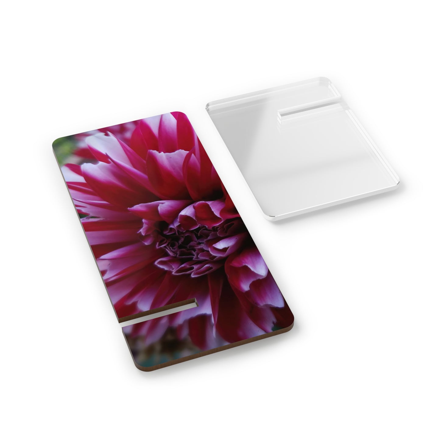 Red and White Dahlia Phone Stand – Vibrant Floral Photography Phone Accessory
