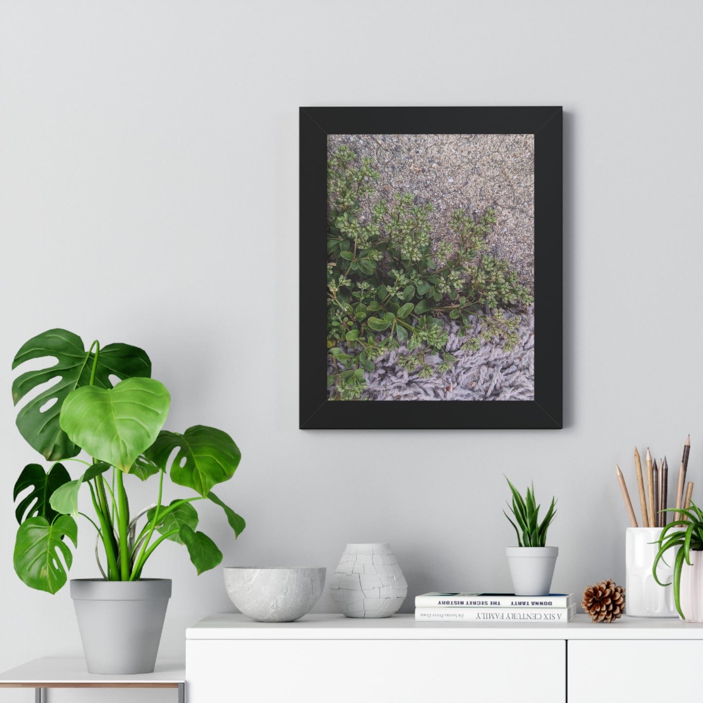 Where the Allseed Grows Framed Print – Urban Nature Minimalist Botanical Wall Art with Concrete Texture