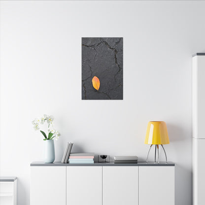 Orange Leaf Against Black Concrete Minimalistic Canvas Print – Contemporary Nature Photography Wall Art