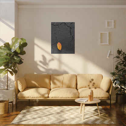 Orange Leaf Against Black Concrete Minimalistic Canvas Print – Contemporary Nature Photography Wall Art