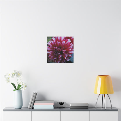 Red and White Dahlia Canvas Print – Bright Floral Nature Photography Wall Art