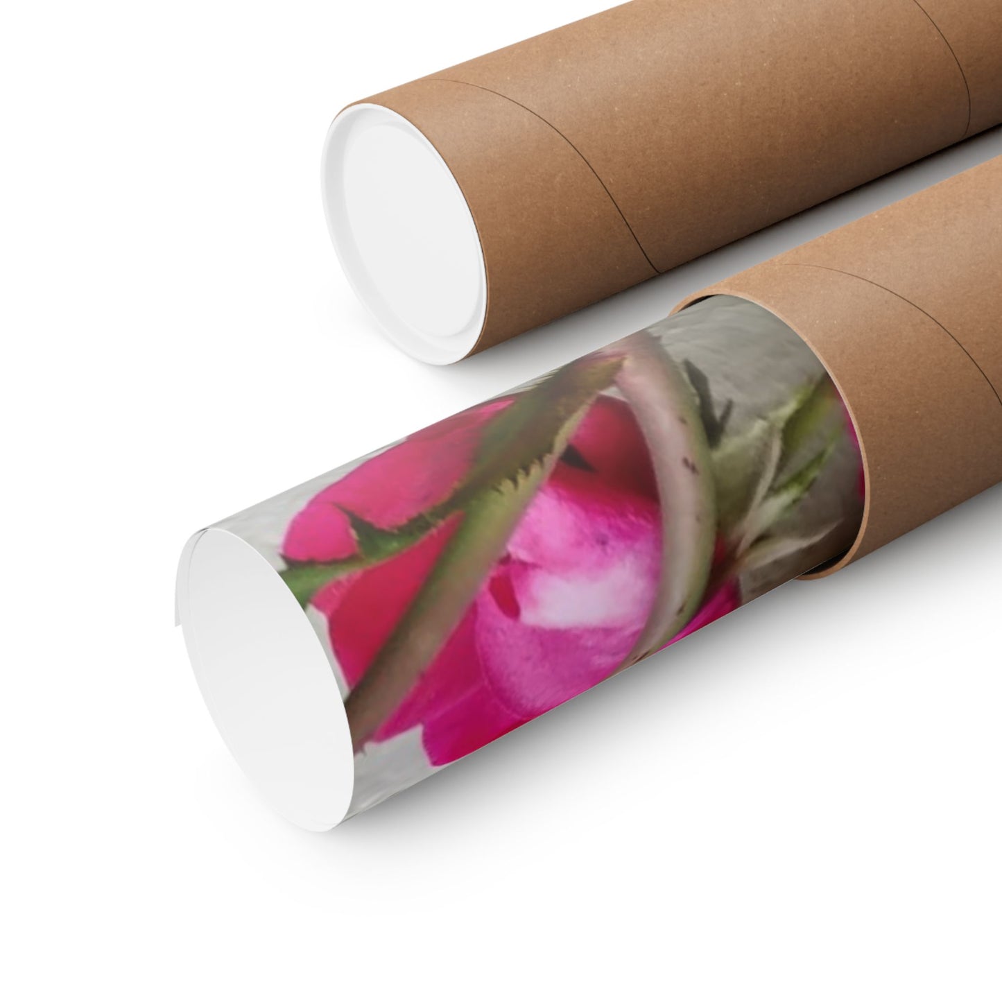 Bougainvillea Against White Stucco Wall Poster – Vibrant Floral Photography Wall Art