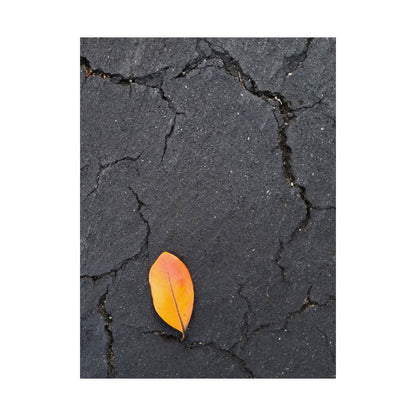 Orange Leaf Against Black Concrete Poster – Minimalist Nature Photography Wall Art