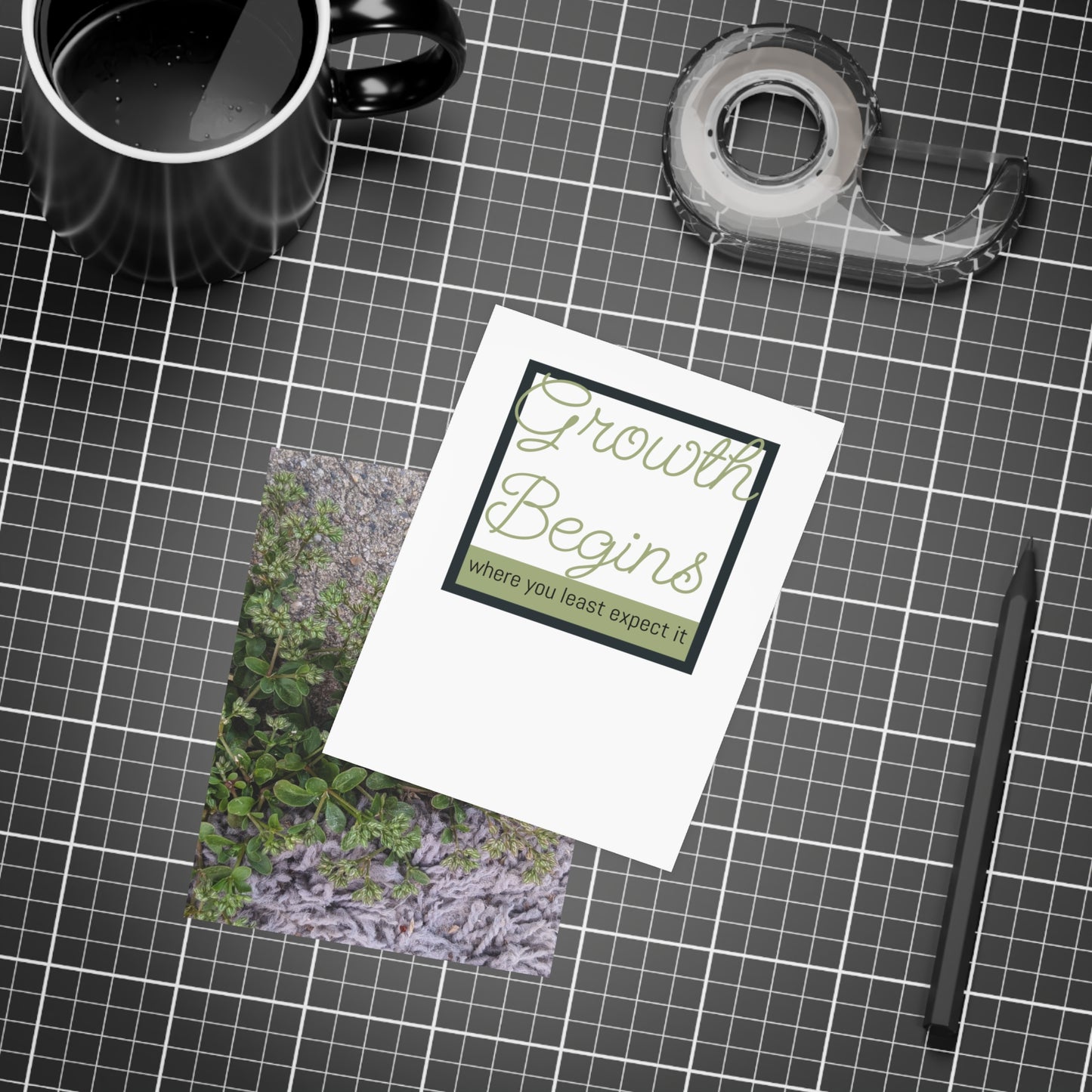 Where the Allseed Grows Postcard – Urban Nature Minimalist Botanical Stationery with Concrete Texture